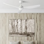 FORLIGHT NEPAL CEILING FAN WITH LED LIGHT 30-7644-CF-F9