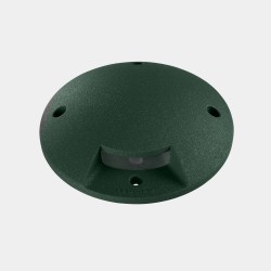 LEDSC4 Xena Surface Path Light – Fir Green – 55-9945-E3-CL