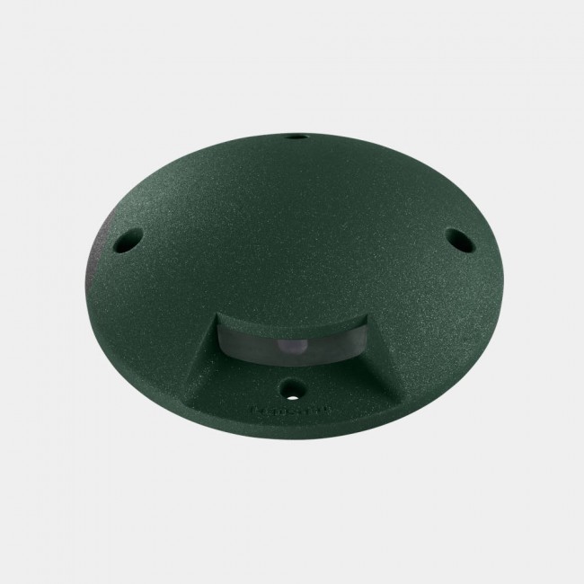 LEDSC4 Xena Surface Path Light – 2 Side – Fir Green – 55-9946-E3-CL