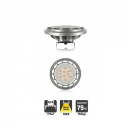 AR111 LED Lamps