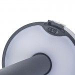 Cero Solar outdoor spike light PX-0646-NEG