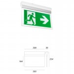 LEDS C4 FLAG EMERGENCY ILLUMINATED SIGN EM03-0103PA1400