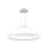 LEDSC4 CIRC 36W LED PENDANT LIGHT