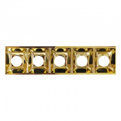 POLISHED GOLD TRACELUX OUTER COVER 5 LIGHT LENGTH
