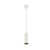 LEDSC4 PIPE PENDANT WHITE FINISH 00-0073-14-05