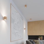 ORBIS Ceiling lamp natural wood