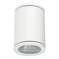 Orion Ceiling fixture