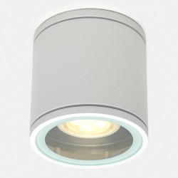 Orion Ceiling fixture