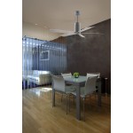 FORLIGHT Rodas White Ceiling Fan 30-1964-CF-CF