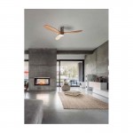 Forlight STEM Ceiling fan with LED light with remote control 30-8644-81-93