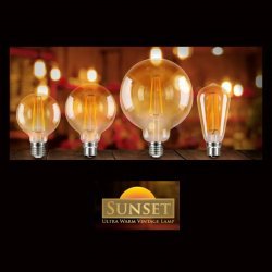 Vintage Decorative LED Lamp bulbs