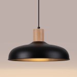 Pendant light INDY black