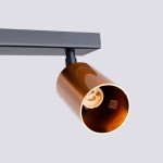 Ceiling lamp WINX 2 black/copper