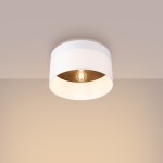 Ceiling lamp TELESTO white/dark brown