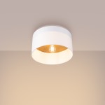 Ceiling lamp TELESTO white/light brown