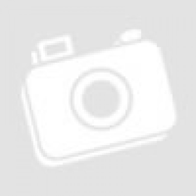 LEDS-C4 350mA LED Driver 71-3922-00-00