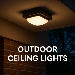 Outdoor Ceiling Lights
