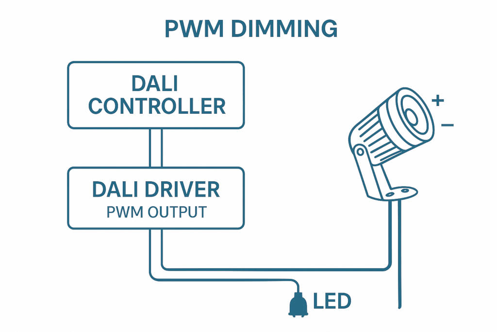 DALI to PWM Dimming Setup Diagram